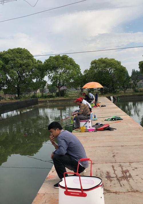 鱼塘钓鱼技巧及看漂详解（提升钓鱼技巧的关键点）  第2张