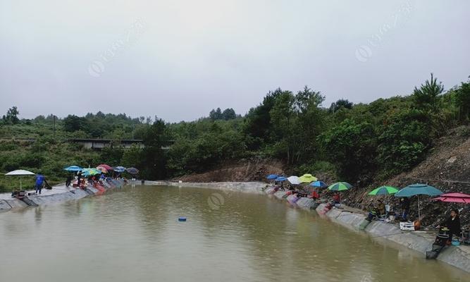 鱼塘围栏技巧与钓鱼防范（保护鱼塘不被捕捞者侵犯的有效手段）  第2张