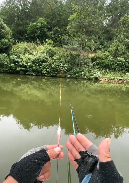 精通调漂钓鱼的最佳方法和技巧（揭秘调漂钓鱼的实用技巧）  第1张