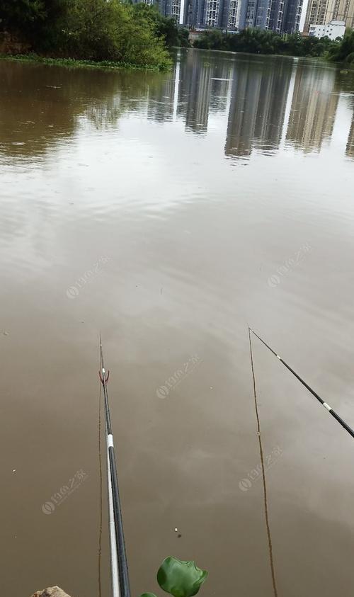 下雨天钓鱼技巧（钓鱼雨中的窍门和技术）  第2张