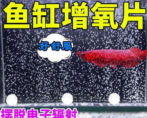 提高钓鱼效果的增氧颗粒技巧（掌握增氧颗粒的使用方法）  第1张