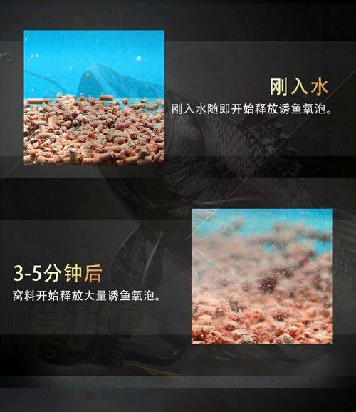 提高钓鱼效果的增氧颗粒技巧（掌握增氧颗粒的使用方法）  第3张