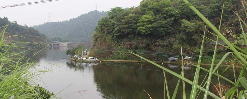 长安莲花水库钓鱼技巧大揭秘（从入门到高手）  第3张