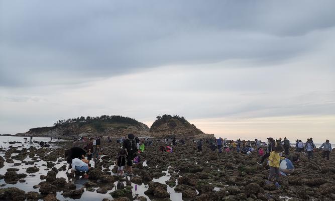 长岛钓鱼抓螃蟹技巧（海岛垂钓与螃蟹捕捞的精彩体验）  第2张