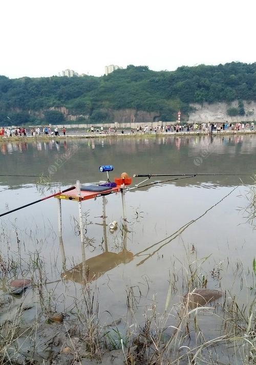 涨水钓鱼的技巧（掌握涨水时的鱼情变化）  第2张