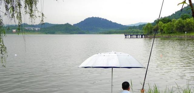 探秘涨水浑水钓鱼技巧（学会钓鱼的关键在于掌握涨水浑水的技巧）  第2张