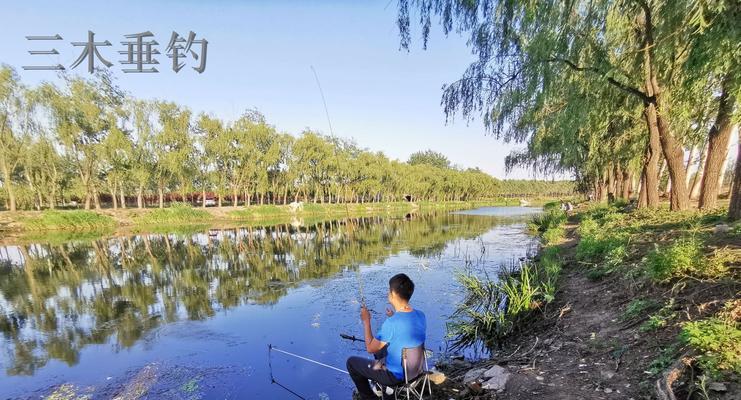 水库钓鱼技巧助你大获成功（四个水库钓鱼技巧带你迎接丰收季）  第2张