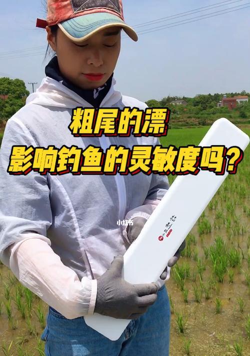 岸上插漂钓鱼技巧有哪些？如何提高岸上插漂钓鱼的成功率？  第1张