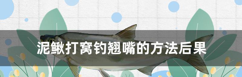 岸上钓鱼的技巧和方法有哪些？如何提高岸钓的成功率？  第2张