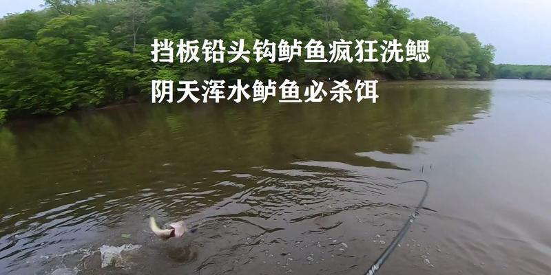 五月雨后浑水钓鱼技巧是什么？如何提高钓获率？  第2张