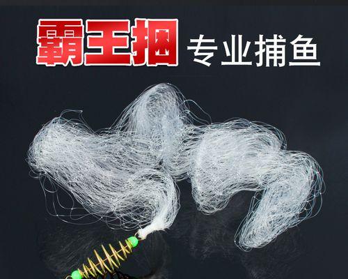 霸王捆钓鱼技巧教程？如何提高钓鱼成功率？  第2张