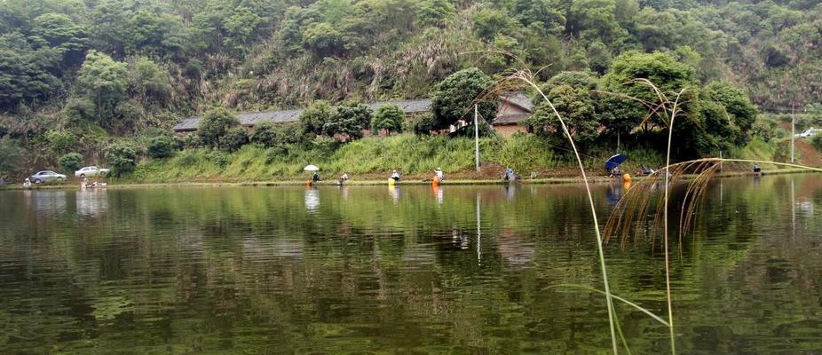 百年岩水库钓鱼技巧有哪些？如何提高钓鱼成功率？  第3张