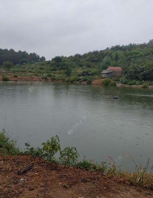 暴雨过后水库钓鱼技巧有哪些？如何应对天气变化提高钓鱼成功率？  第1张