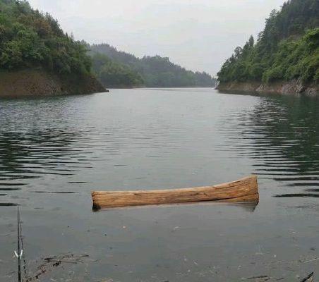 暴雨过后水库钓鱼技巧有哪些？如何应对天气变化提高钓鱼成功率？  第2张