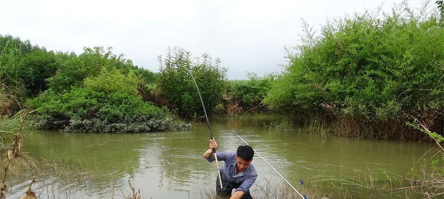 暴雨后浑水钓鱼技巧有哪些？如何提高浑水钓鱼的成功率？  第2张