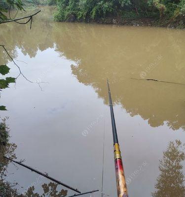 暴雨浑水钓鱼技巧是什么？如何提高浑水钓鱼的成功率？  第1张