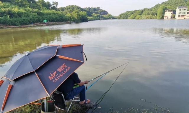 暴雨期间钓鱼技巧有哪些？如何应对恶劣天气？  第2张