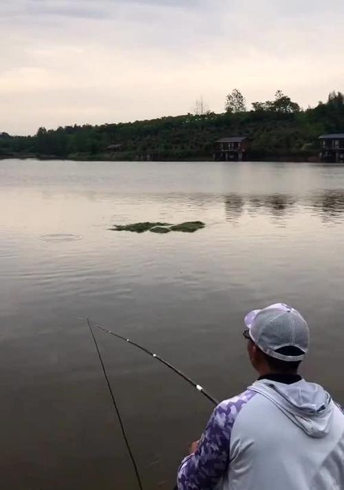 暴雨水库钓鱼技巧有哪些？如何应对恶劣天气提高钓鱼成功率？  第2张