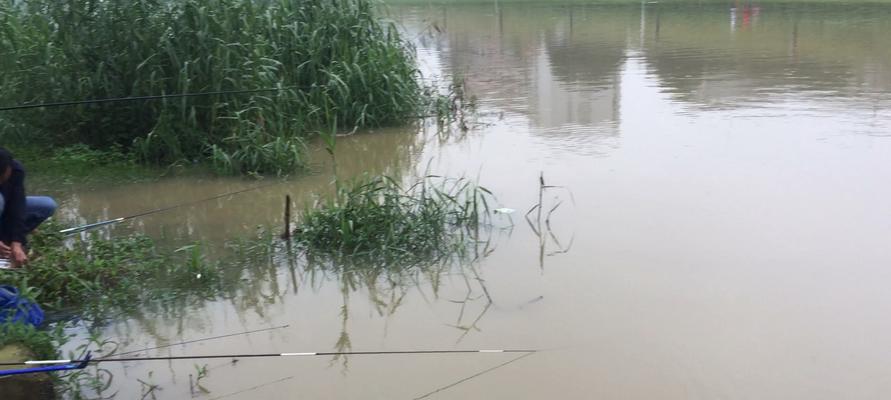 暴雨水库钓鱼技巧有哪些？如何应对恶劣天气提高钓鱼成功率？  第1张