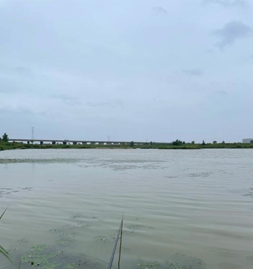 谷雨后北方钓鱼技巧有哪些？如何提高钓鱼成功率？  第1张