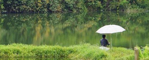 北方秋季雨天钓鱼技巧是什么？如何应对雨天钓鱼的挑战？  第1张