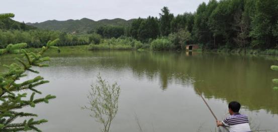 北方雨水钓鱼技巧有哪些？如何应对雨天钓鱼的挑战？  第1张