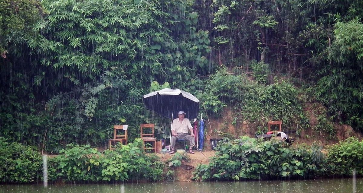 北方雨水钓鱼技巧有哪些？如何应对雨天钓鱼的挑战？  第3张