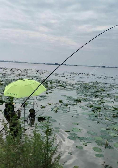 北风下雨天钓鱼技巧是什么？如何应对恶劣天气提高钓鱼成功率？  第2张