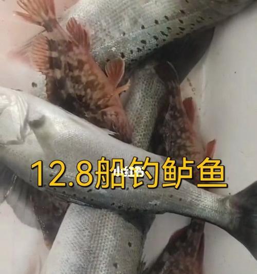 北美野钓鲈鱼技巧教学？如何提高钓鲈鱼的成功率？  第2张