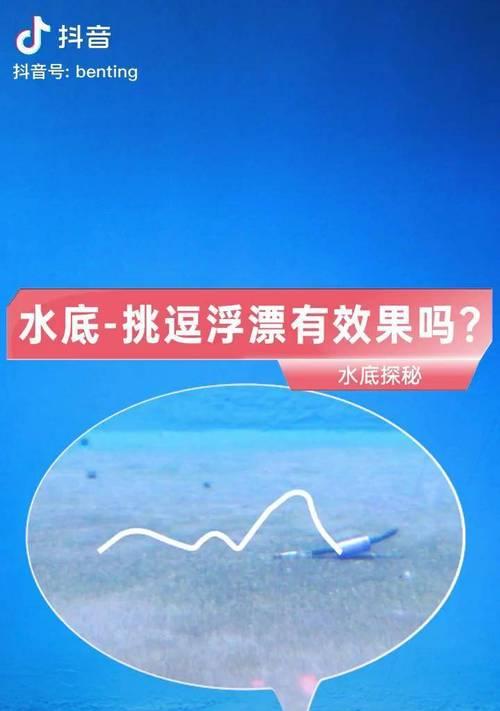 本汀浮漂钓鱼技巧有哪些？如何提高钓鱼成功率？  第1张