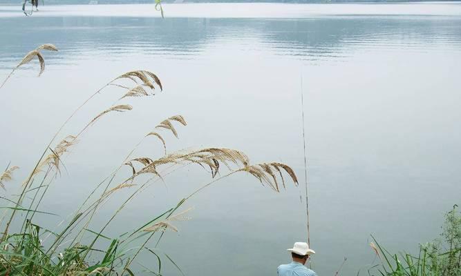 传统野钓双钓有哪些新玩法和技巧？如何提高钓鱼效率？  第2张