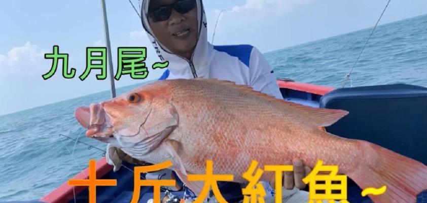 船钓海鲈鱼的方法和技巧教程？如何提高钓获率？  第1张