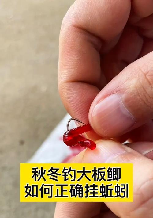 船钓海鲈鱼的方法和技巧教程？如何提高钓获率？  第2张