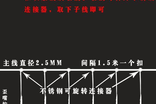 串钩钓鱼技巧有哪些？如何提高钓鱼效率？  第3张