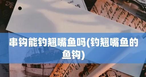 串钩钓翘嘴抛竿技巧教程？如何提高钓鱼效率？  第1张