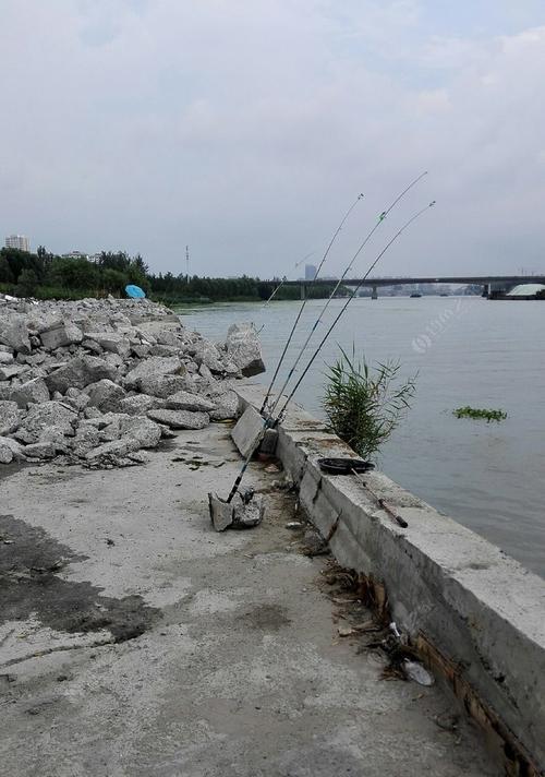 串钩野钓鲶鱼技巧有哪些？如何提高钓鲶鱼的成功率？  第3张