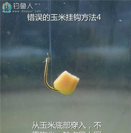 如何用最佳方法和技巧垂钓巴沙鱼？  第1张