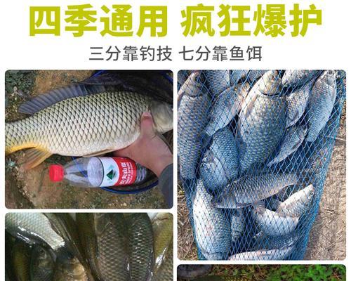 如何提升垂钓技巧？最佳饵料配方是什么？  第2张