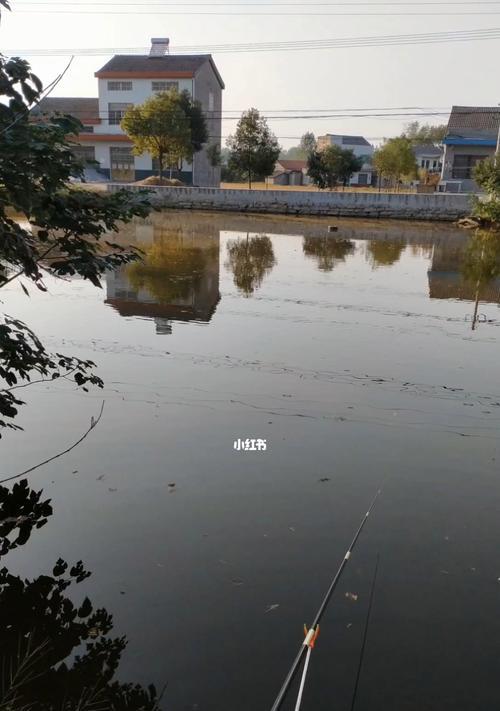 春天大雨钓鱼技巧有哪些？如何应对雨天钓鱼的挑战？  第1张